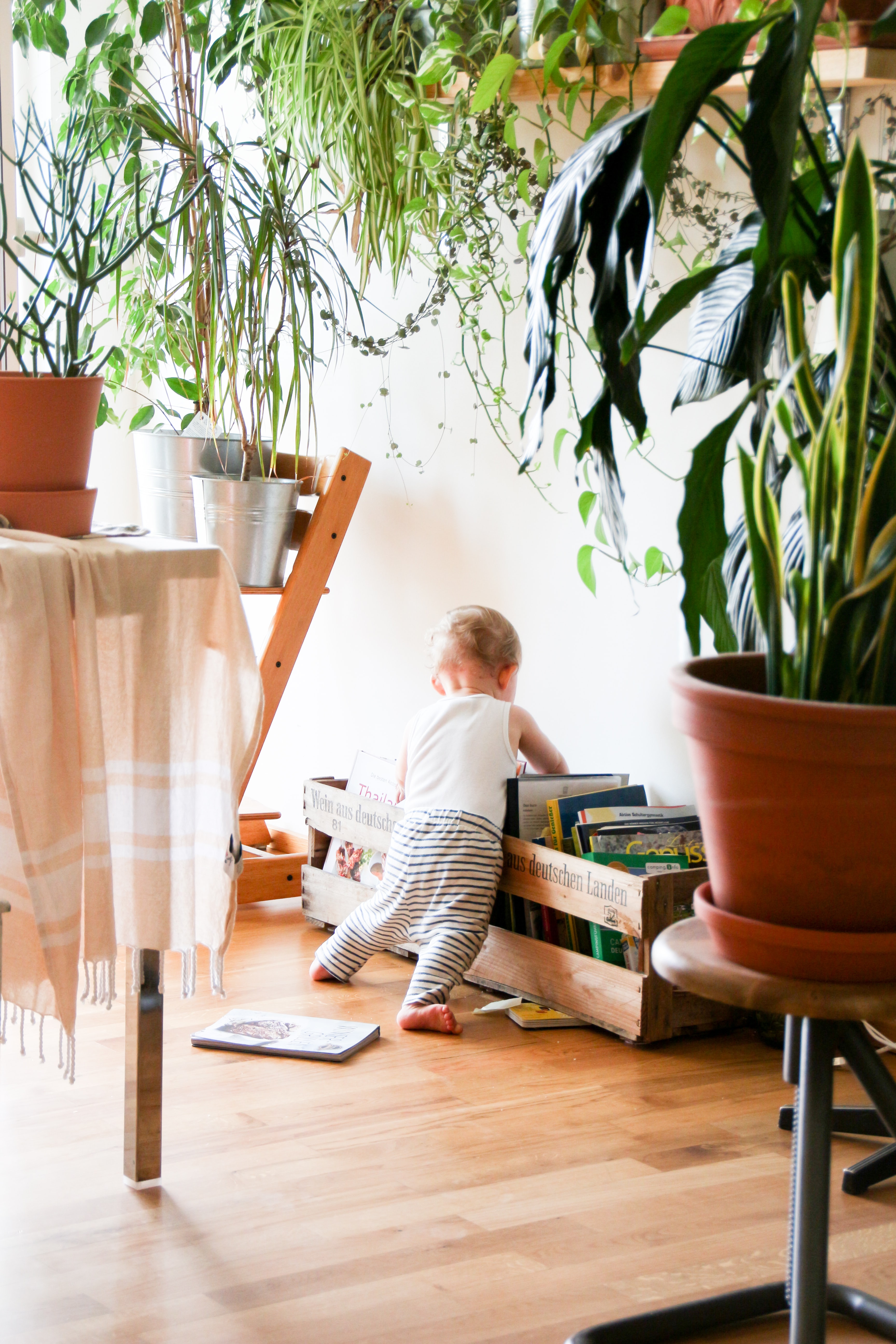 Young baby looking through books